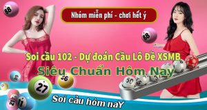 soi cau 102 anhdaidien