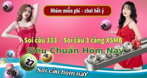 soi cau 333 anhdaidien